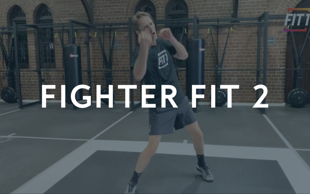 Fighter Fit 2