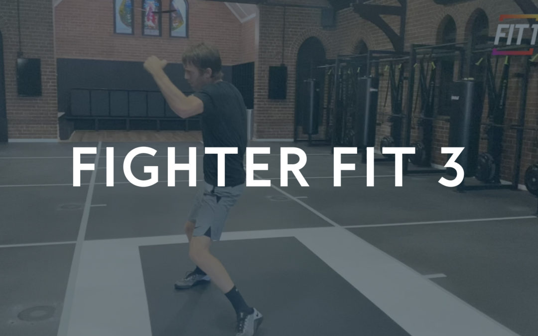 FIGHTER FIT 3